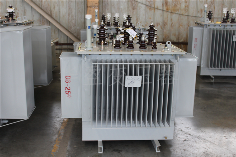 玉溪S20-800kVA/10kV/0.4kV变压器